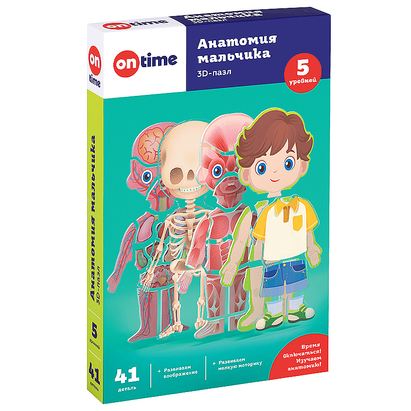 Изображение товара Обучающий 3D пазл Анатомия мальчика для детей, развитие интеллекта и моторики