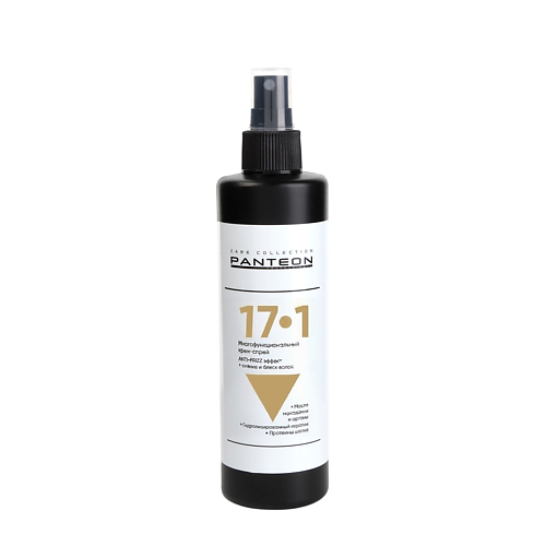 

PANTEON COLOR & CARE COLLECTION Многофункциональный несмываемый крем-спрей 17в1 250, Многофункциональный несмываемый крем-спрей 17в1