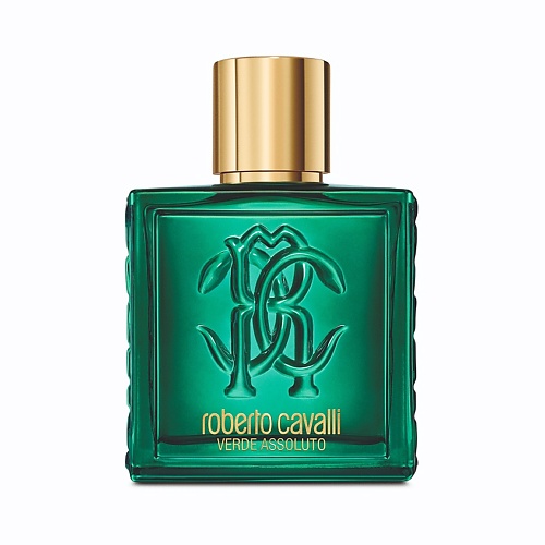 

ROBERTO CAVALLI Uomo Verde Assoluto 100, Uomo Verde Assoluto