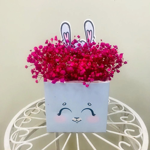 

ILE DE FLEURS Гипсофила стабилизированная «Зайчик», Гипсофила стабилизированная «Зайчик»