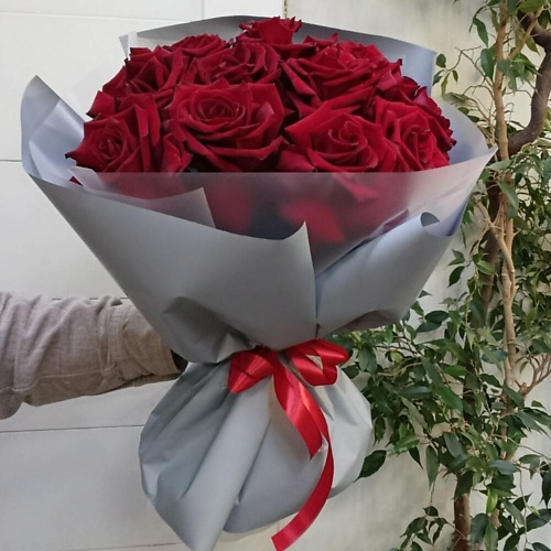 

ILE DE FLEURS Красные французские розы Эквадор . 11 шт, Красные французские розы Эквадор . 11 шт