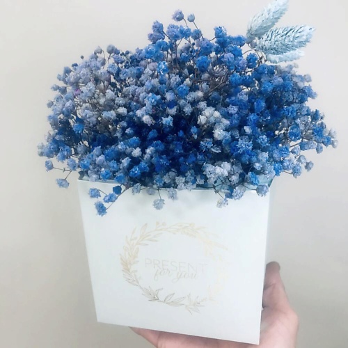 

ILE DE FLEURS Цветы в коробке гипсофила стабилизированная «Презент», Цветы в коробке гипсофила стабилизированная «Презент»