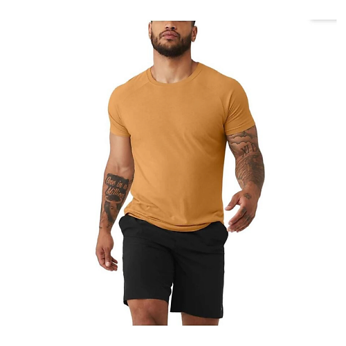 Футболка с круглым вырезом The Triumph Crew Neck Tee