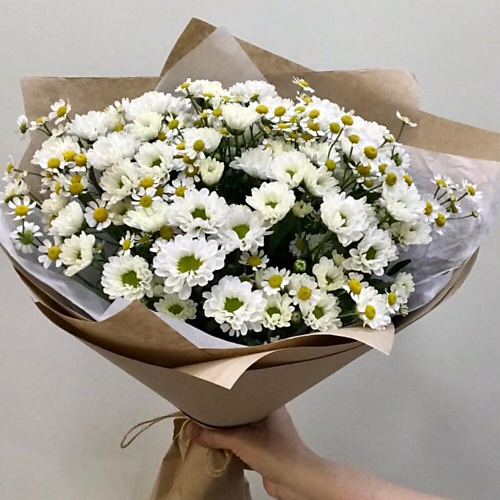 

ILE DE FLEURS Букет -Хризантема ромашковая и матрикария, Букет -Хризантема ромашковая и матрикария