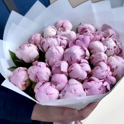 

ILE DE FLEURS Нежные Пионы. Розовые пионы. 25 пионов. Букет из пионов, Нежные Пионы. Розовые пионы. 25 пионов. Букет из пионов