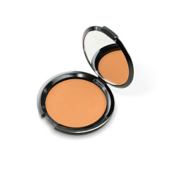 Компактная пудра с эффектом загара Top Cover Bronzing Powder