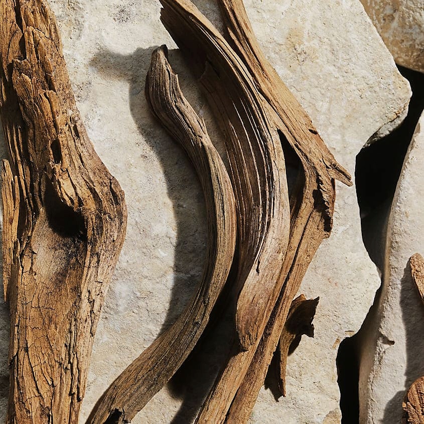 DOLCE&GABBANA Light Blue – фото 5