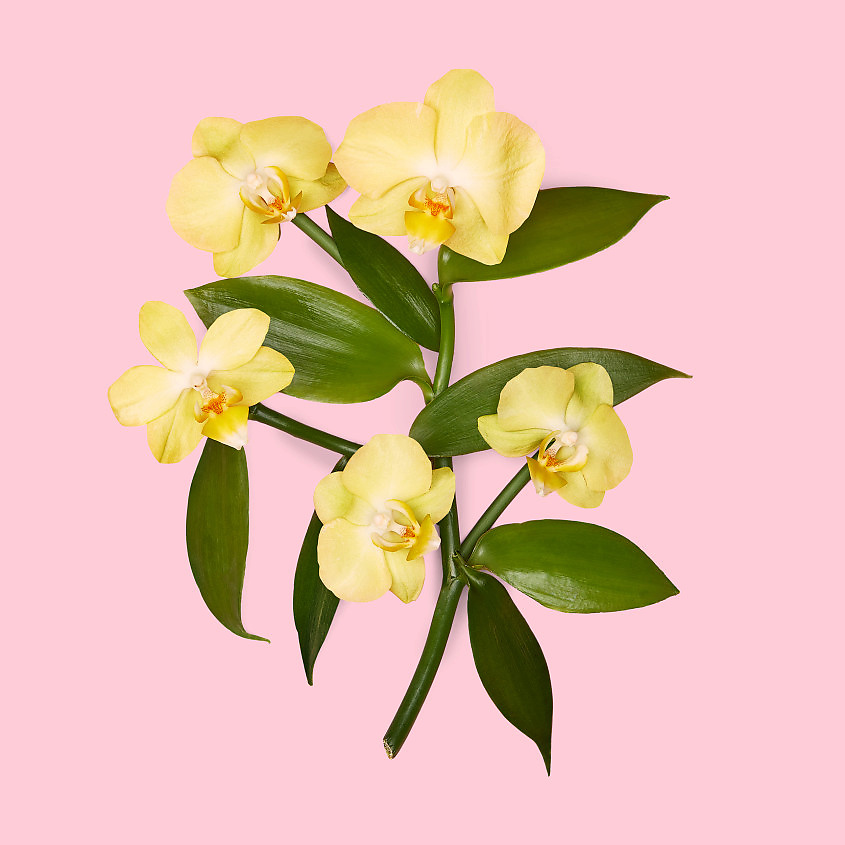 GUCCI Flora Gorgeous Orchid – фото 10
