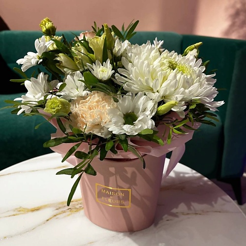 

DARI ЦВЕТЫ Композиция в кашпо, Композиция в кашпо