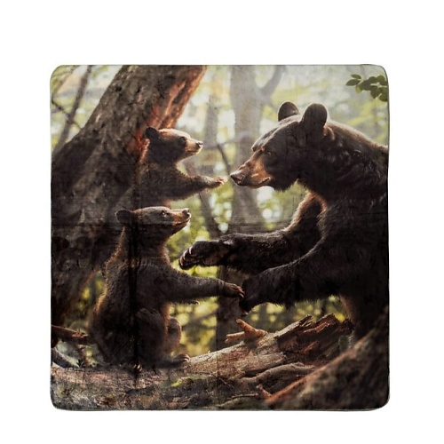

ARYA HOME COLLECTION Плед с принтом 150X200 Bear Family, Плед с принтом 150X200 Bear Family