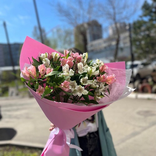 

FLOWER DANCE Нежная альстромерия, Нежная альстромерия