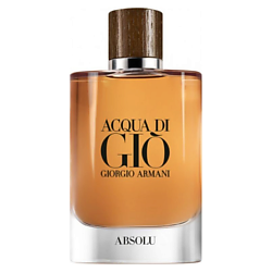 Парфюмерная вода Acqua di Gio Absolu
