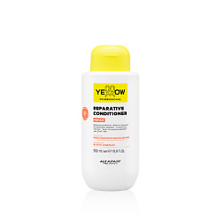 Реконструирующий кондиционер для повреждённых волос YE PROFESSIONAL REPARATIVE CONDITIONER