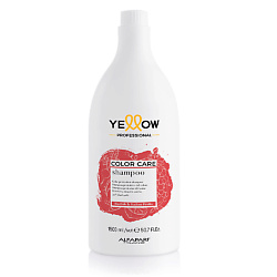 Шампунь для окрашенных волос YE COLOR CARE SHAMPOO