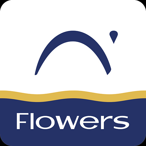 ЛЭТУАЛЬ FLOWERS