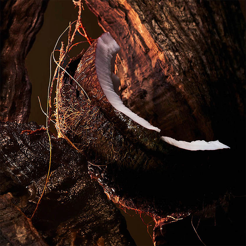 CHRISTIAN LOUBOUTIN BEAUTY L’Ebène – фото 3