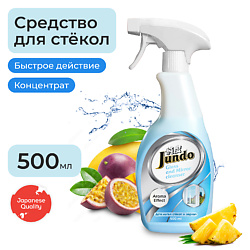 Средство для мытья стекол, пластика и зеркал концентрат с ароматом фруктов Премиум