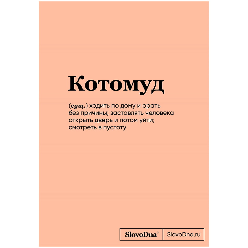 Изображение товара Блокнот SlovoDna Котомуд формат А5 128 страниц розово-бежевый