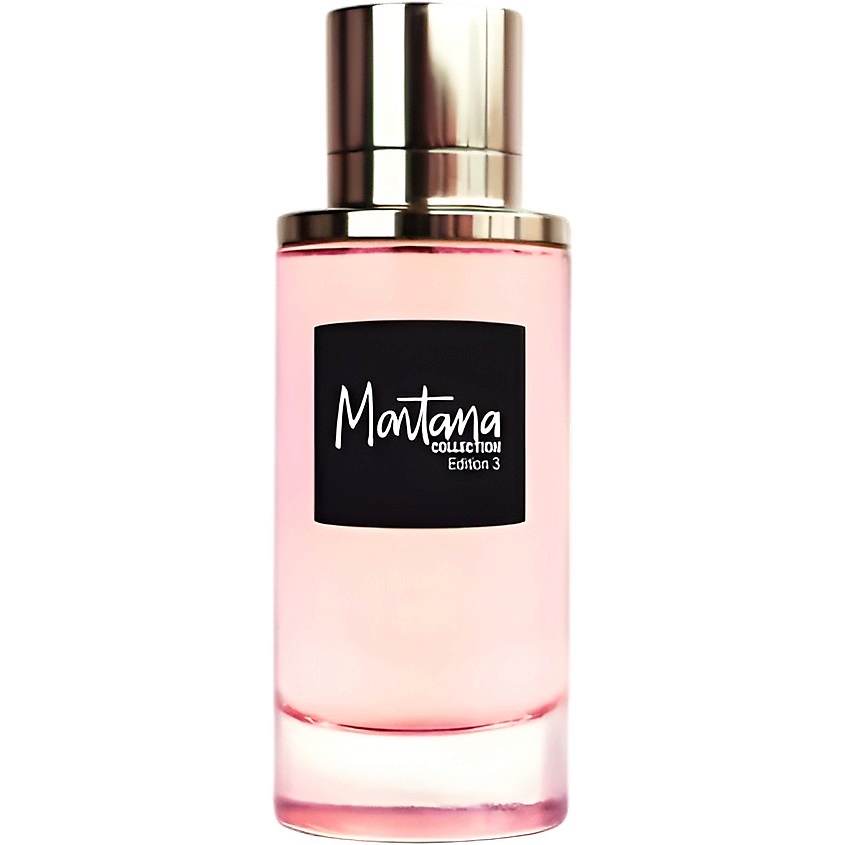 Изображение товара Парфюмерная вода MONTANA COLLECTION Edition 3 100 мл Изображение товара Парфюмерная вода MONTANA COLLECTION Edition 3 100 мл