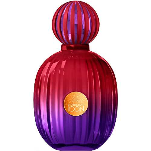 

BANDERAS The Icon Elixir 100, The Icon Elixir