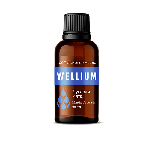 

WELLIUM Эфирное масло Луговая мята премиум-класса 30, Эфирное масло Луговая мята премиум-класса