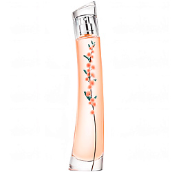 Flower Ikebana Mimosa By Kenzo