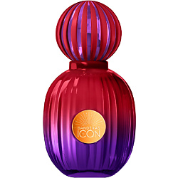 The Icon Elixir