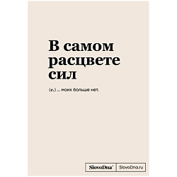 Блокнот SlovoDna. В самом расцвете сил