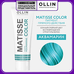 Пигмент прямого действия MATISSE COLOR