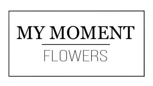 МY MOMENT