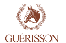 GUERISSON