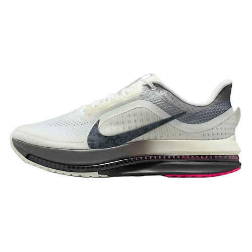 NIKE Беговые кроссовки мужские Pegasus Premium Mesh