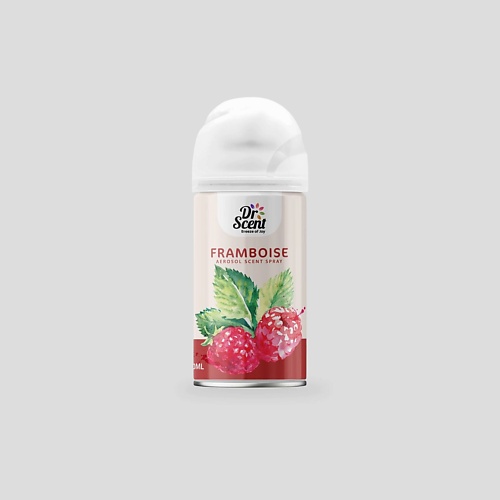 

DR. SCENT Breeze of Joy Освежитель воздуха (сменный баллон) Framboise 300, Освежитель воздуха (сменный баллон) Framboise
