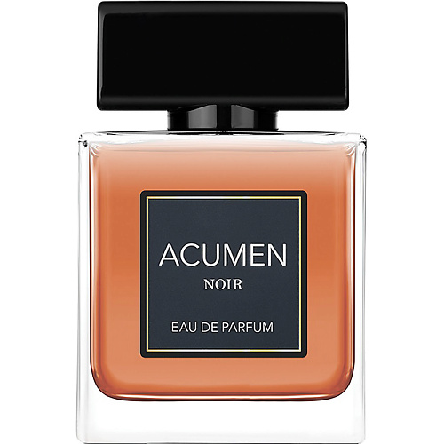 Парфюмерная вода DILIS Acumen Noir