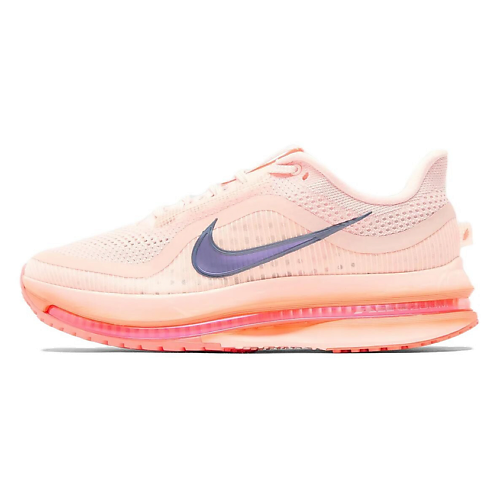 Кроссовки NIKE Беговые кроссовки мужские Pegasus Premium Low top