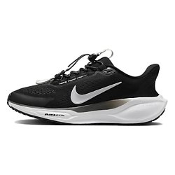 Беговые кроссовки женские Air Zoom Pegasus 41 EasyOn