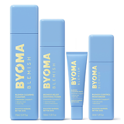 Набор для проблемной кожи Blemish System