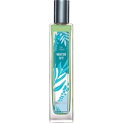 Грезы ВОДЯНОЙ ПЛЮЩ DAY DREAMS WATER IVY