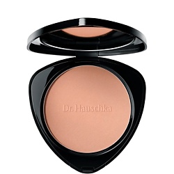 Пудра для лица с бронзовым эффектом Bronzing Powder