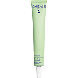 Точечное средство против несовершенств с салициловой кислотой Vinopure Salicylic Spot Solution