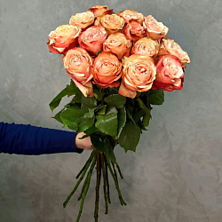 Роза Кахала 15шт