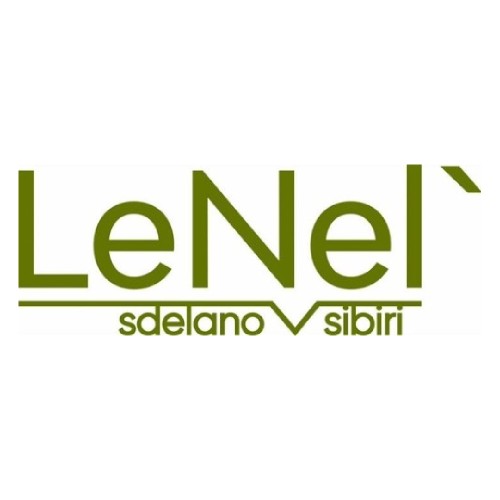 LENEL':SDELANOVSIBIRI