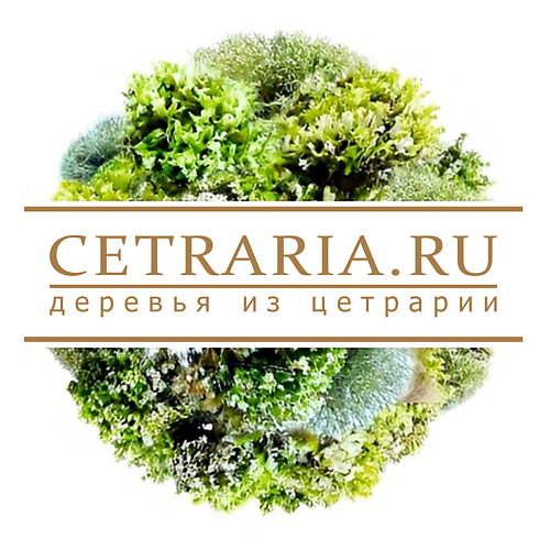 CETRARIA