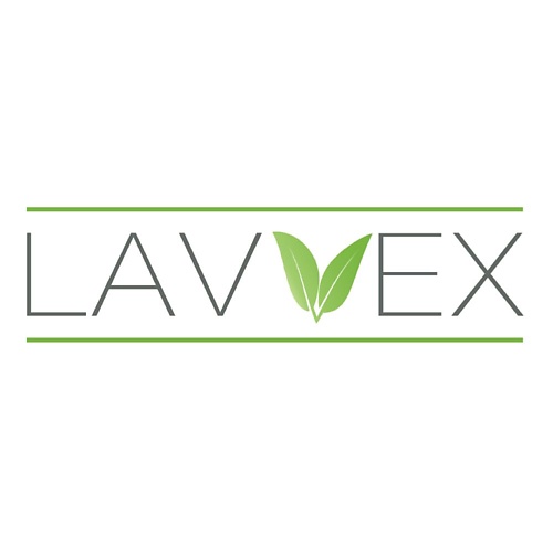 LAVVEX