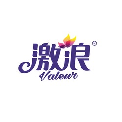 VALEUR