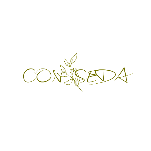CONSEDA
