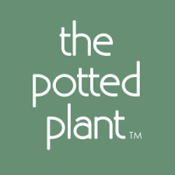 THE POTTED PLANT