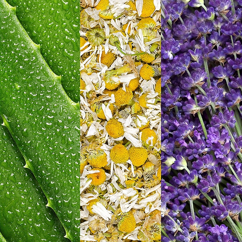 MARIO BADESCU Спрей для лица с экстрактом алоэ ромашки и лаванды Facial Spray With Aloe Chamomile And Lavender – фото 5