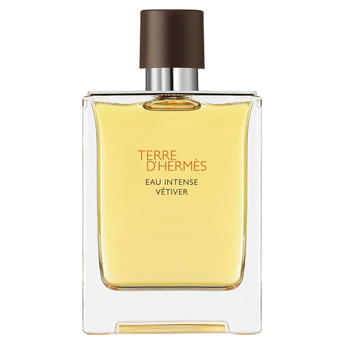 HERMÈS HERMES Парфюмерная вода Terre D'Hermes Eau Intense Vetiver 100