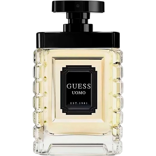 GUESS Uomo 100